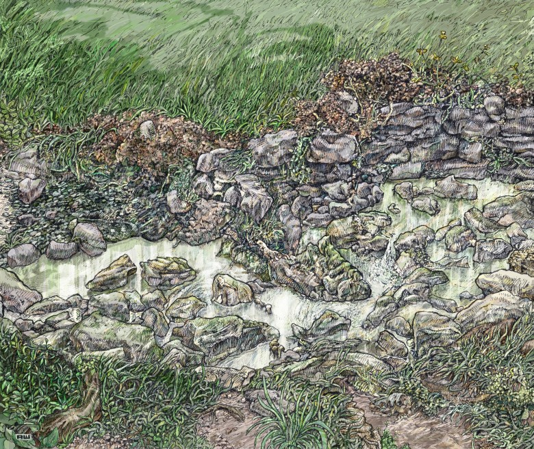 Creekside by Alistair White